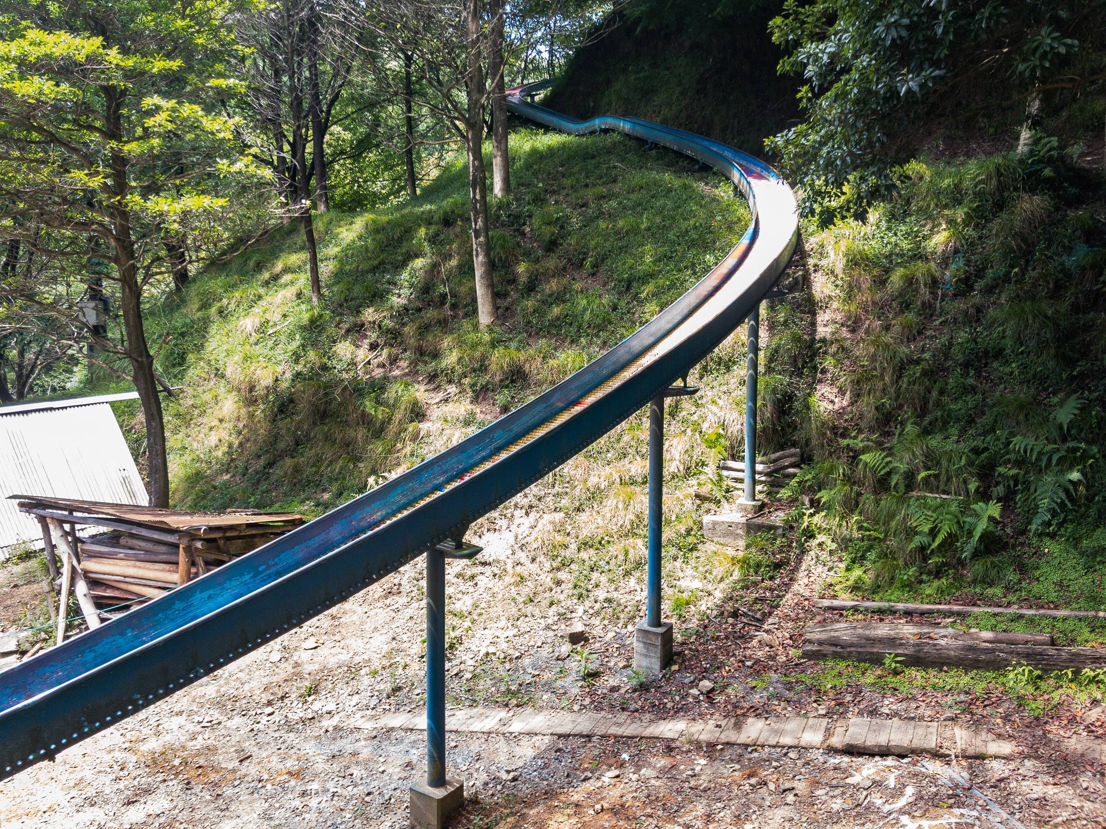 🌳 모토하마 녹지(元浜緑地) 이미지 6